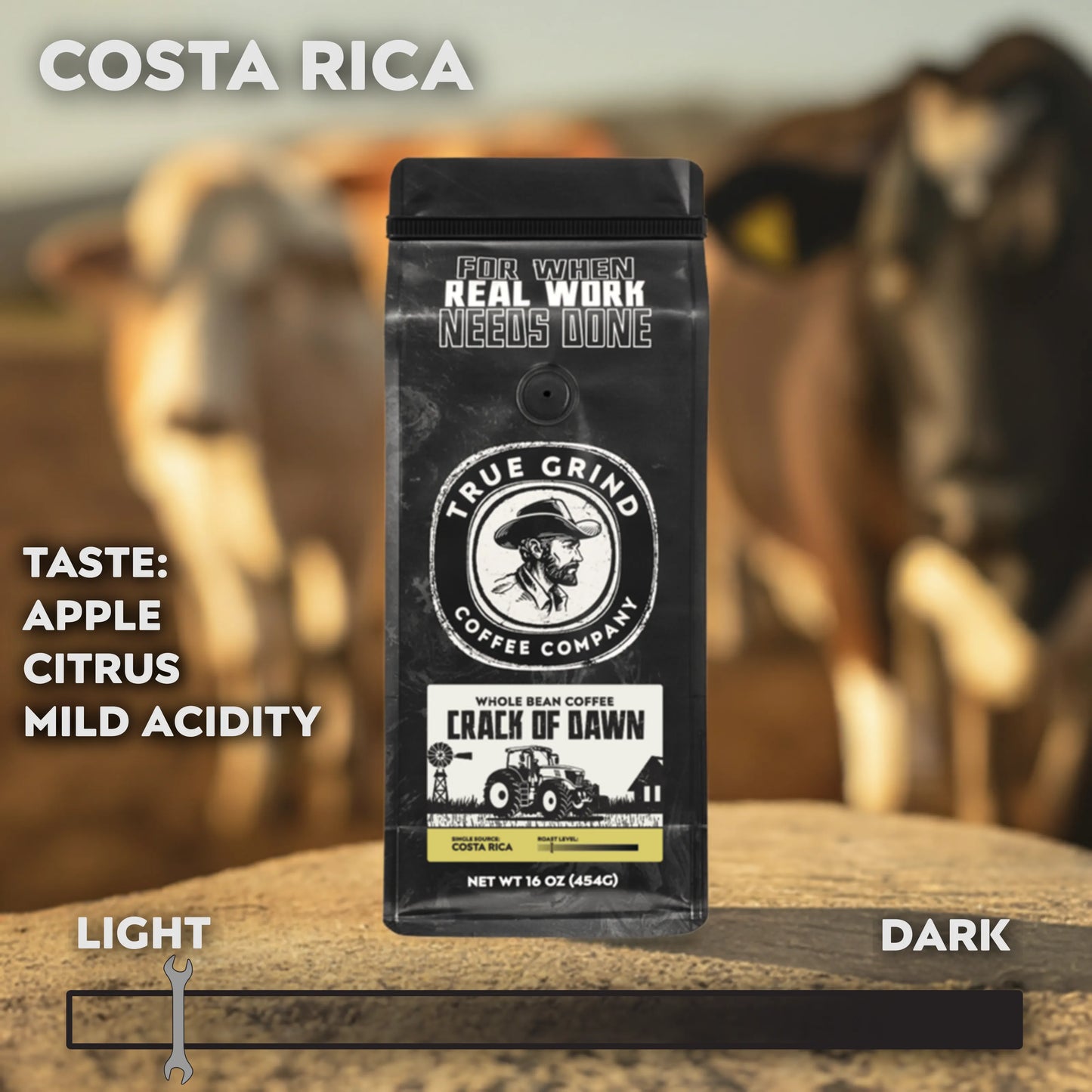 16 oz True Grind Coffee Co. coffee bag featuring a product label for the Crack of Dawn roast.