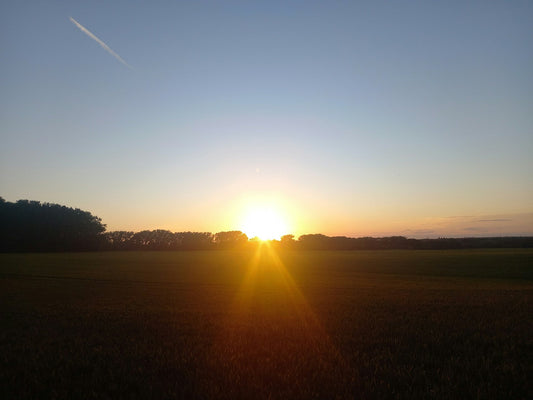 Roast Spotlight: Crack of Dawn