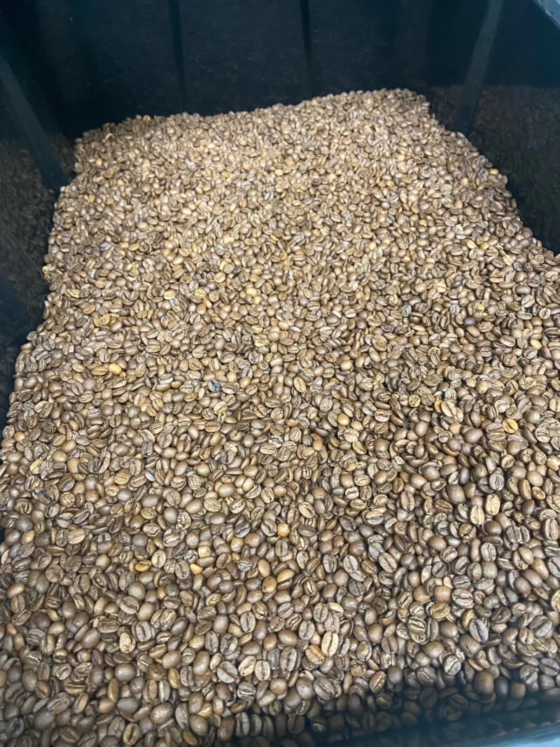 Roasted coffee stored in a large bin